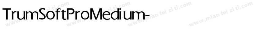 TrumSoftPro Medium字体转换